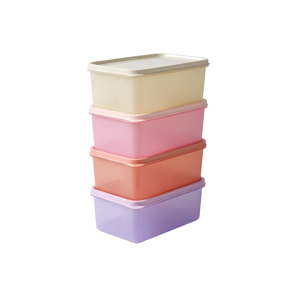 Set recipiente Scatolla 1 L (4 buc.)